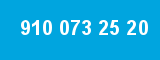 910 073 25 20